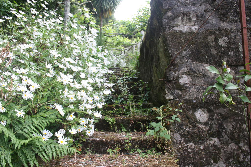 Quinta Das Leiras ซานโตชีร์โซ ภายนอก รูปภาพ