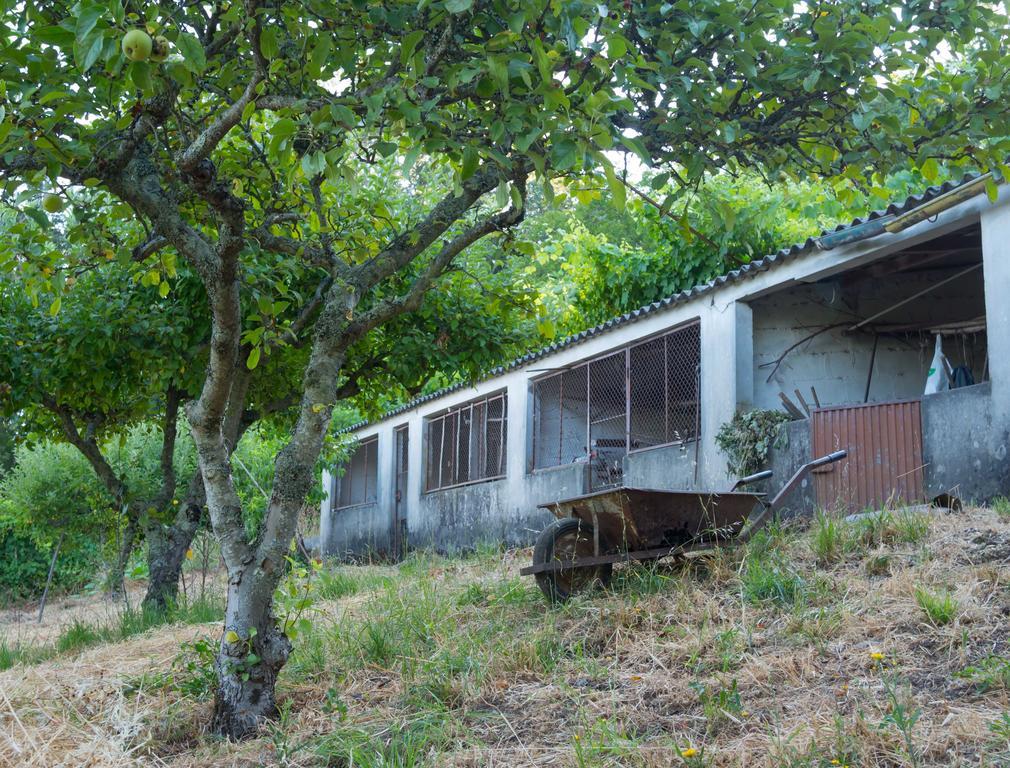 Quinta Das Leiras ซานโตชีร์โซ ภายนอก รูปภาพ
