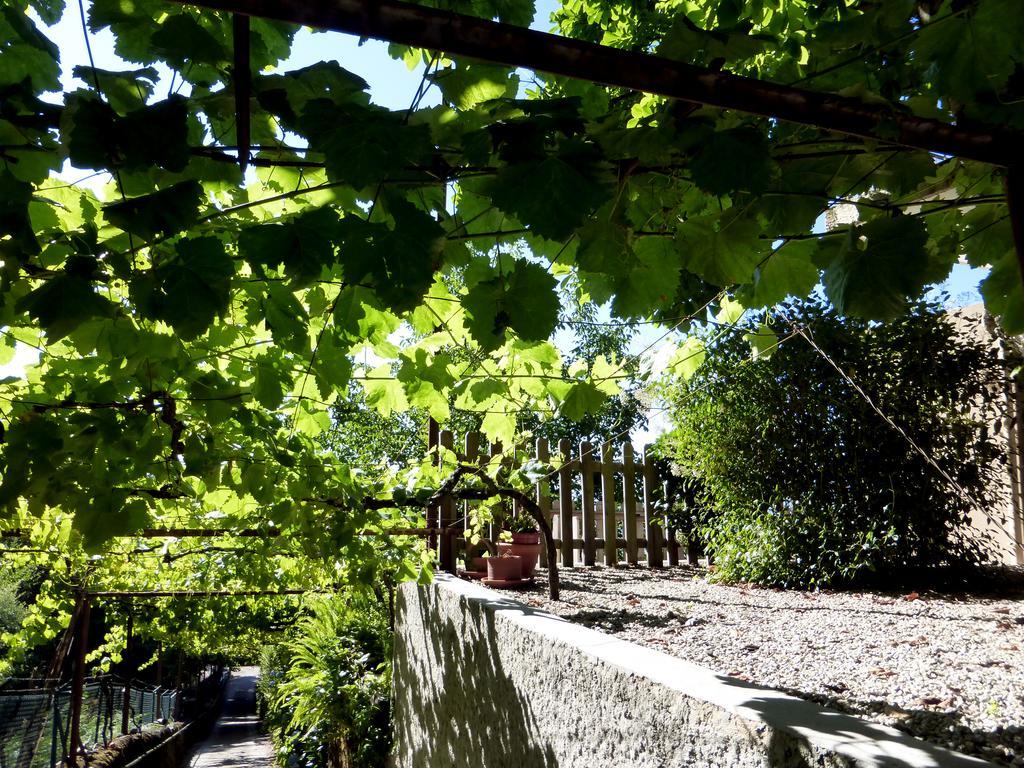 Quinta Das Leiras ซานโตชีร์โซ ภายนอก รูปภาพ